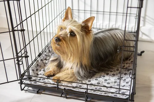 Vista 8 de Caldwell's Pet Supply Co. Almohadillas para orinal de 18 x 24 pulgadas, almohadillas lavables para orina para perros, tapete reutilizable para orina