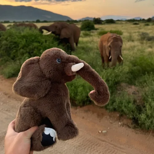 Vista 4 de Fahlo Peluche de Seguimiento Incluye Peluche de 12", Mapa de Seguimiento 3D Interactivo, y Apoyo para la Conservación de la Vida Silvestre