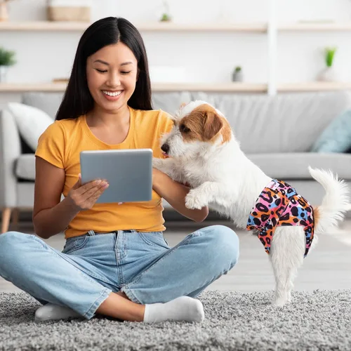 Vista 5 de Pañales reutilizables para perras femeninas, almohadillas lavables para orina de cachorro con correa ajustable para perros pequeños en calor e