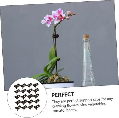 Vista 3 de Yardwe 150pcs Phalaenopsis Orchid Clip Pepino Plantas Plantas de Plástico Plantas Plantas en maceta Vegetales Soporte de Plantas Clip Clip
