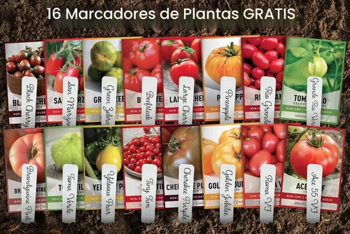 Vista 8 de Gardeners Basics, Semillas de tomate para plantar 16 semillas de tomate reliquia, Tiny Tim, semillas de tomate cherry, semillas de bistec, semillas