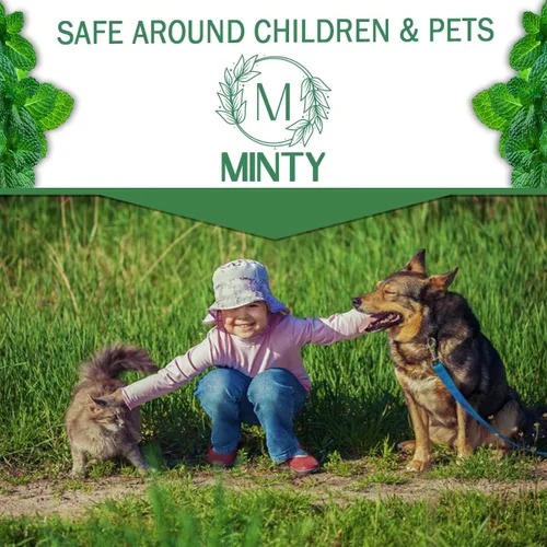 Vista 5 de Minty Repelente de roedores, espray de aceite de menta natural al 5% para ratones, ratas, ardillas y roedores, en interiores y exteriores, uso