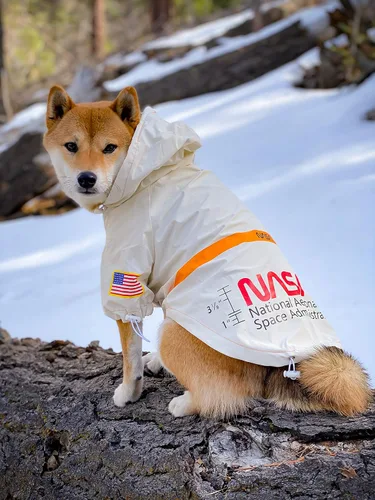 Vista 2 de ChoChoCho Chubasqueros para perro, chaqueta de lluvia reflectante a prueba de agua, disfraz de perro de la NASA, ropa de perro, elegante atuendo