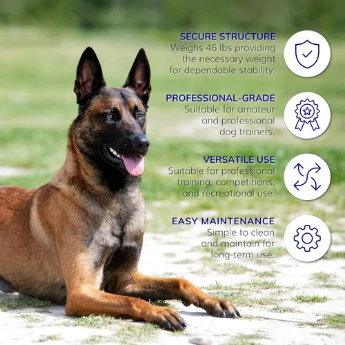 Vista 5 de ActiveDogs - Equipo de entrenamiento de agilidad para perros – Túnel de competencia resistente de 12 pies con paso de 4 pulgadas para perros al aire