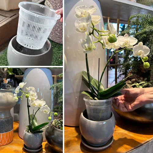 Vista 2 de Macetas para Orquídeas, Paquete de 12 Macetas para Orquídeas de 4.5 Pulgadas con Agujeros, Maceta Ranurada Transpirable para Orquídeas