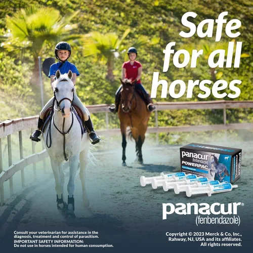 Vista 7 de MERCK ANIML Health/DURVET Panacur Powerpac Dewormr Fenbendazole 1 Pack 2.01 oz Pasta 10%