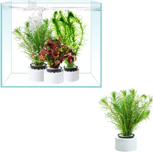 Vista 3 de 6 anillos de cerámica antiflotantes para plantas de acuario, anillos fijos para plantas acuáticas, paisaje de acuario, fijación de plantas