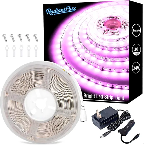 Vista 28 de Tiras de luces LED pequeñas de 10 pies cálidas, tira de luces LED regulables, 180 LEDs, luces de cinta LED tipo cuerda súper brillantes para sala