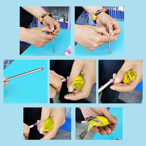 Vista 2 de FOIBURELY 100 bandas para patas de pájaro para pata Gouldian Zebra Finch Canary Society Bird Foot Ring con 1 instalador (diámetro de 0.118 in)