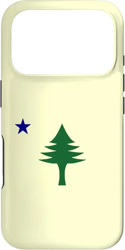Vista 30 de Old Maine State Original Flag 1901 Pine Tree Case for iPhone 16