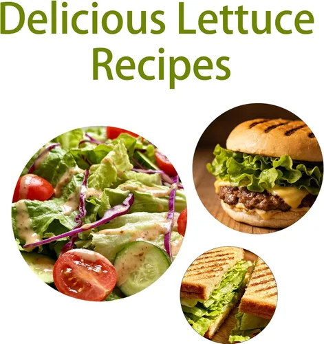 Vista 7 de 5000 semillas de lechuga Buttercrunch para plantar, semillas de vegetales de temporada fría sin OMG para cultivo hidropónico y suelo, lechuga
