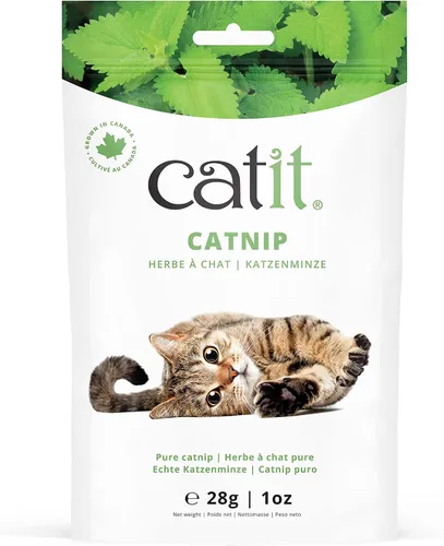 Vista 4 de Catit Burbujas de hierba gatera para estimular gatos de interior y exterior