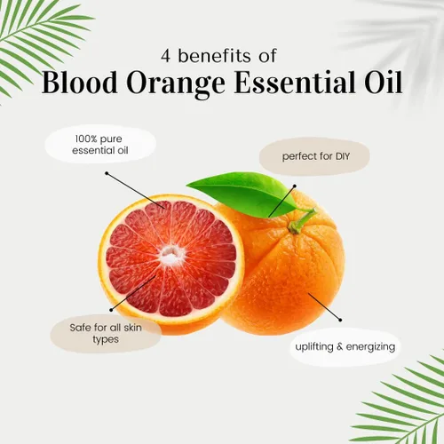 Vista 5 de Aceite esencial de naranja sanguina – 32 fl oz (32.0 fl oz) botella de aluminio con tapa de tapón – Aceite esencial 100% puro – GreenHealth