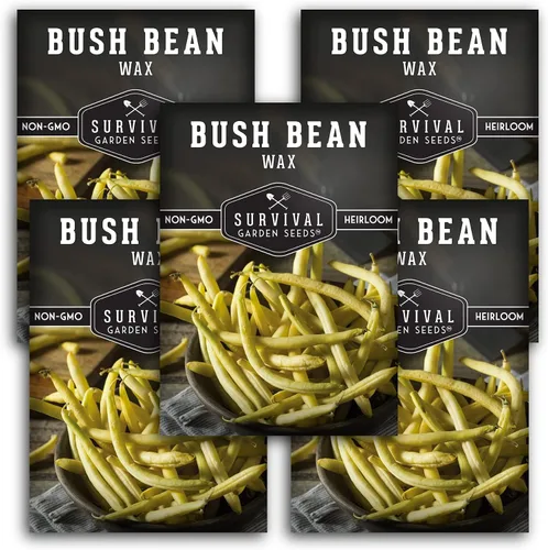 Vista 12 de Survival Garden Seeds - Semilla de frijol Golden Wax Bush para plantar - Paquete con instrucciones para plantar y cultivar frijoles amarillos