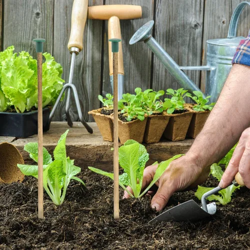 Vista 9 de Happyyami 36 tapas de caña de jardín, protectores de plástico flexibles para varillas de soporte de plantas, previenen lesiones y daños, 1.18 x 1.18