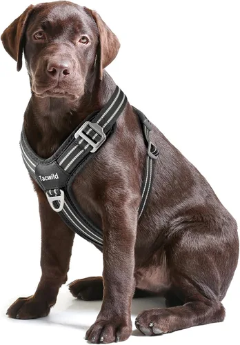 Vista 16 de Arnés sin tirones para perro, chaleco reflectante ajustable con broche de metal, malla suave transpirable sin estrangulamiento para cachorro, fácil