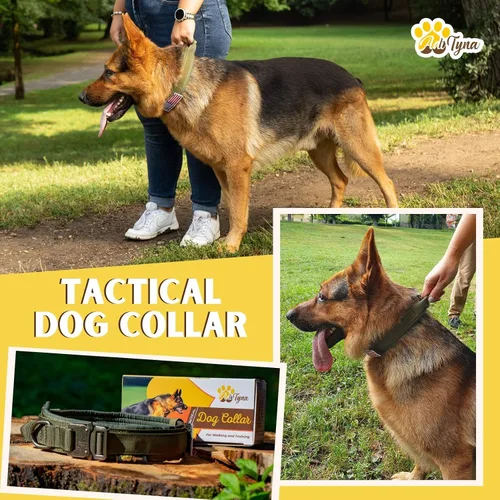 Vista 7 de Collar de perro táctico militar K9 Ajustable con asa Para entrenamiento y servicio, para pastor alemán