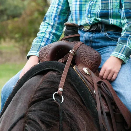 Vista 2 de Rein Check Llc Dba Booma Rein Booma Rein Keeper