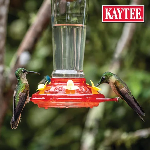 Vista 6 de Kaytee Hummingbird ElectroNectar - Alimento para aves silvestres, concentrado de 16 onzas, paquete de 2 unidades, hace 128 onzas de ElectroNectar