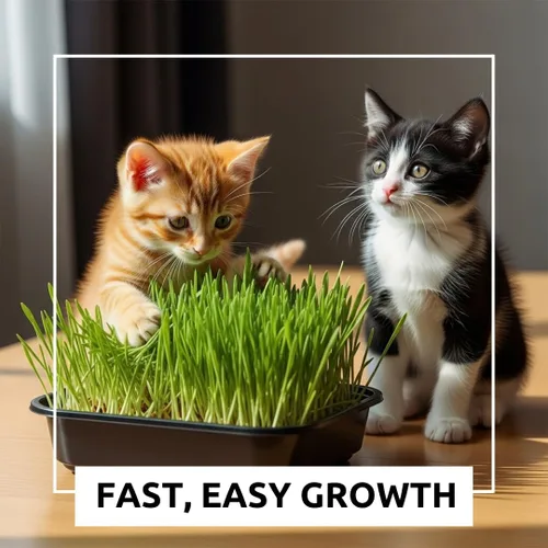 Vista 3 de Kit de cultivo de hierba para gatos, semillas orgánicas, tapetes de cultivo de yute, contenedor de cultivo de 10 x 10 pulgadas, ideal para gatos