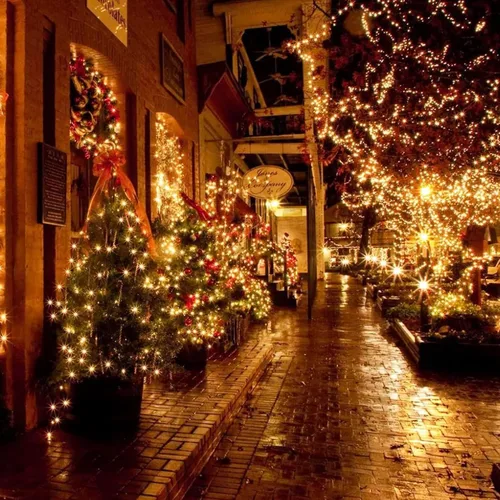 Vista 5 de FUNPENY Guirnalda de luces LED decorativas de Navidad de 164 pies, 500 luces LED de Navidad para interiores y exteriores, 8 modos, impermeable