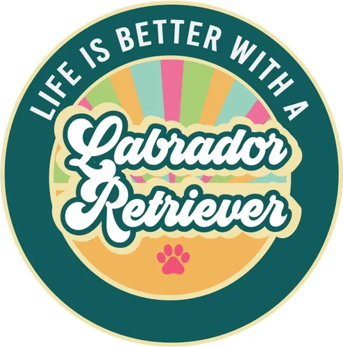 Vista 18 de Life is Better with an Austrlian Shepherd Refrigerator Locker Car Magnet 4