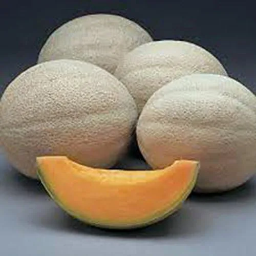 Vista 2 de Semilla de melón, Hales Best Jumbo, reliquia, sin OMG, más de 25 semillas, melón