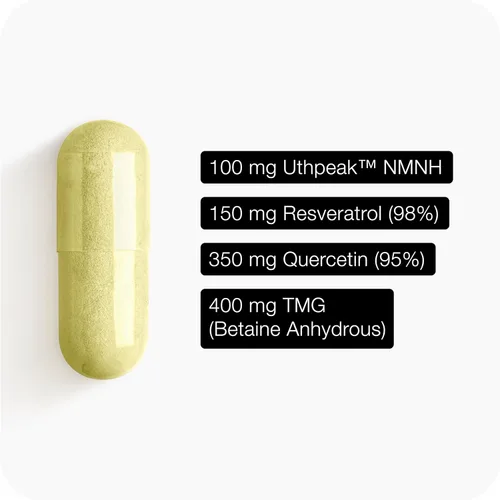 Vista 7 de Toniiq Suplemento NMNH – Complejo de 1,000 mg de potencia ultra alta con Uthpeak™ NMNH clínicamente estudiado, resveratrol, quercetina y TMG
