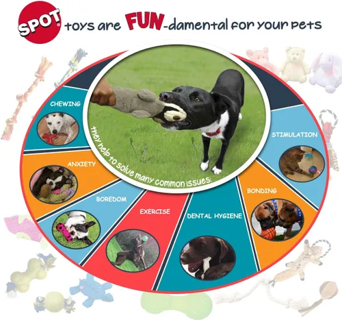 Vista 3 de Ethical Pets Push to Silte - Juguete para perro, pelota con correa