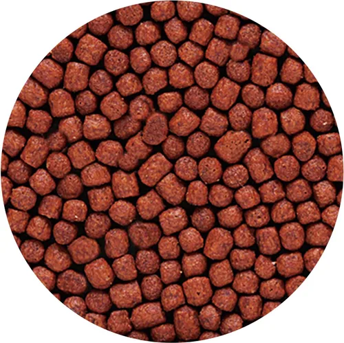 Vista 4 de Hikari Alimento de pescado de loro rojo sangre, mini pellets, 11.7 oz. (11.75 oz)
