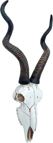 Vista 4 de Top Brass Calavera de antílope Kudu africano de 14 1/2 pulgadas, cabeza de montaje en pared, decoración rústica de safari