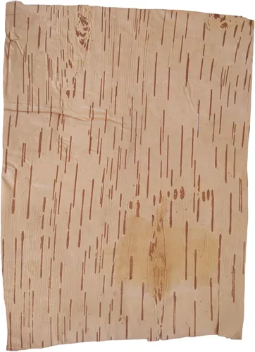 Vista 3 de BHAVICREATION Bhojpatra Betula Bhojpatra - Bhojpatra - Bhojpatra - Bhojpatra - Bhojpatra - Bhojpatra - Bhojpatra - Bhojpatra - Bhojpatra - Bhojpatra
