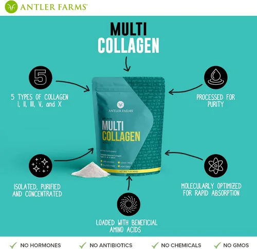 Vista 4 de Antler Farms - Polvo de proteína de colágeno múltiple - 5 tipos (I, II, III, V y X) Péptidos de colágeno hidrolizados 100% puros para hombres
