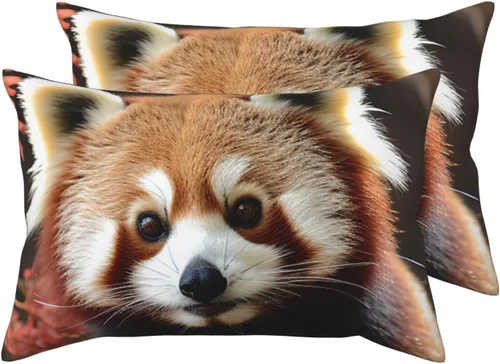 Vista 11 de Juego de 2 fundas de almohada, fundas de almohada de tamaño Queen con diseño de flores arcoíris para cabello y piel, fundas de almohada súper suaves