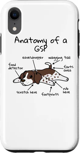 Vista 24 de iPhone 13 Anatomía de una funda de perro puntero alemán de pelo corto