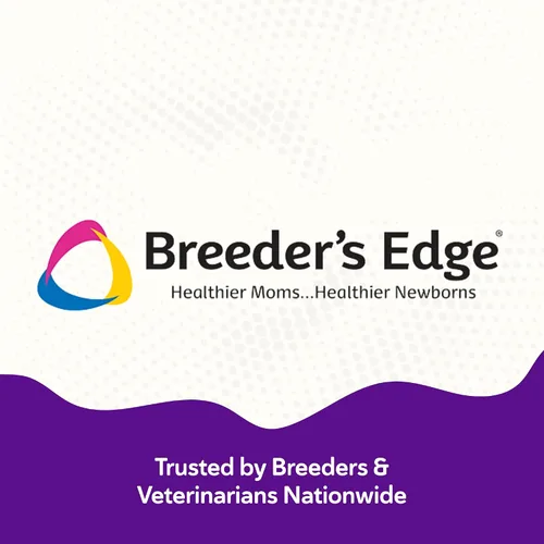 Vista 6 de Breeder's Edge B Polvo fuerte, suplemento vitamínico de complejo B para perros y gatos, apoya la salud reproductiva, promueve los ciclos de calor