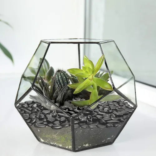Vista 3 de Piedras pequeñas negras – Piedras decorativas para plantas de roca, piedras pulidas naturales de 3/8 pulgadas, grava para suculentas, grava