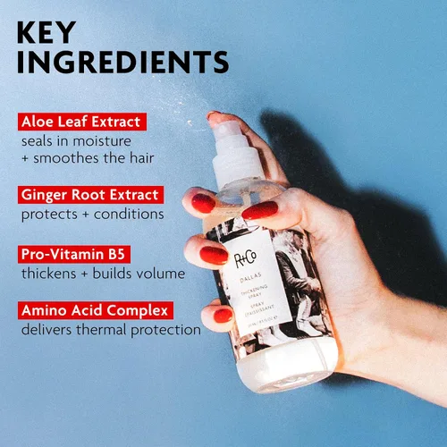 Vista 5 de R+Co DALLAS Espesor Spray – Spray voluminizador y texturizante para el cabello, añade cuerpo y plenitud, todo tipo de cabello