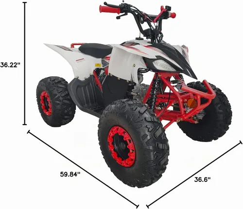 Vista 6 de HHH 125 cc ATV con transmisión totalmente automática para jóvenes, cuadriciclo deportivo de gasolina de cuatro ruedas con reversa y neumáticos Blanco