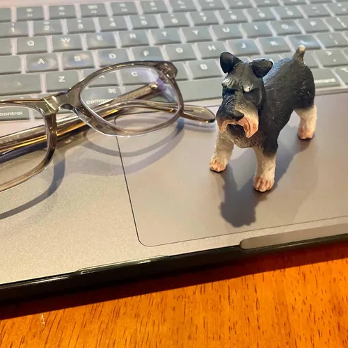 Vista 7 de Safari Ltd. Schnauzer - Figura detallada de plástico de 3 pulgadas, divertido juguete educativo para niños, niñas y niños a partir de 3 años