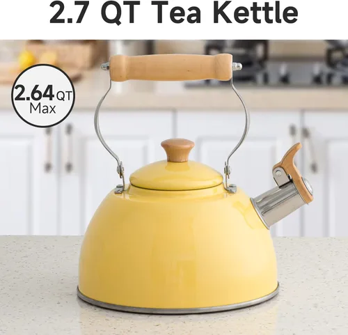 Vista 31 de ROCKURWOK - Tetera de estufa, tetera con mango ergonómico de tacto frío, tetera de acero inoxidable de grado alimenticio, tetera de estufa, tetera