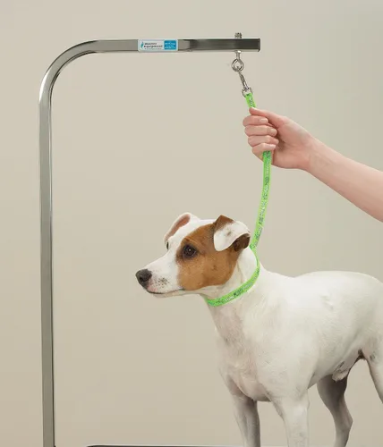 Vista 4 de Top Performance Lazos básicos de aseo - Bucles de nailon versátiles para asegurar a los perros en las mesas mientras se acicalan, 18 pulgadas