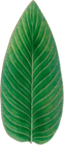 Vista 7 de Costa Nova Riviera Collection Riviera, Forêts (verde oscuro) apto para microondas y lavavajillas Acristalamiento seguro para alimentos Vajilla