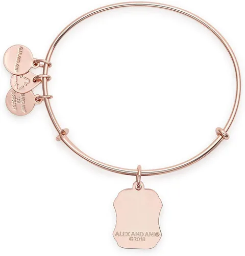 Vista 2 de Alex and Ani Women's Words are Powerful Unity is Strength EWB SR. Pulsera de oro rosa brillante, ampliable