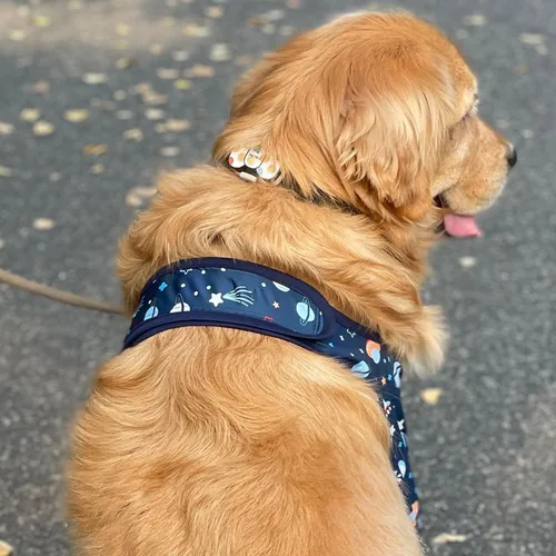 Vista 3 de Protector de codo para perro, manga larga para recuperación de articulaciones del perro, manga larga para evitar lamer heridas, coderas largas