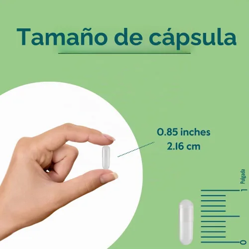 Vista 4 de BESTVITE Vitamina B-6 200 mg (120 cápsulas vegetales) - Sin estearatos