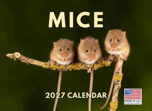 Vista 89 de Calendario mensual de pared 2025 de lagarto, 12 meses, fabricado en Estados Unidos Lizards