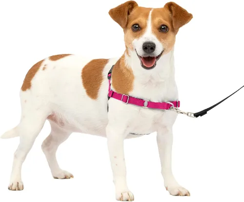 Vista 47 de PetSafe Easy Walk - Arnés para perro, sin tirones, gris carbón Carbón/Negro