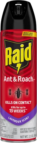 Vista 10 de Raid Ant & Roach Killer Spray para insectos listados, mantiene matando durante 13 semanas, aroma a lavanda, 12 onzas