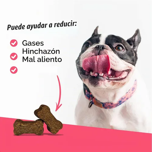 Vista 3 de VetriScience Gomitas para la Salud Intestinal, Suplemento Digestivo Probiótico Diario para Perros, Probióticos para Mascotas para el Apoyo